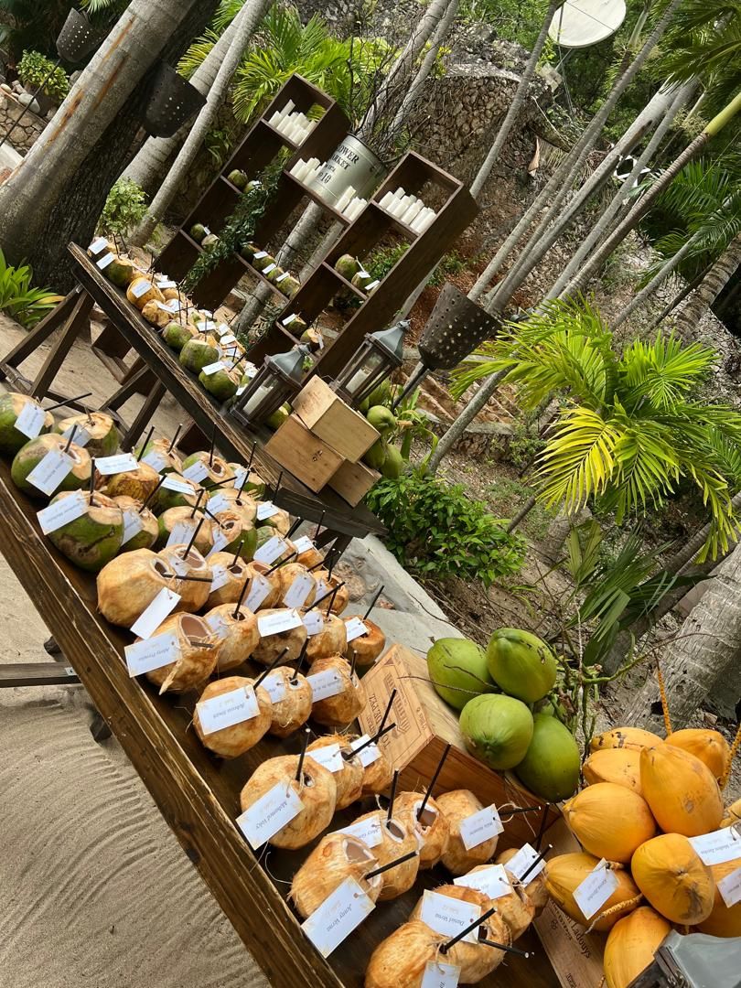 Coconut welcome bar with name tags under the palms